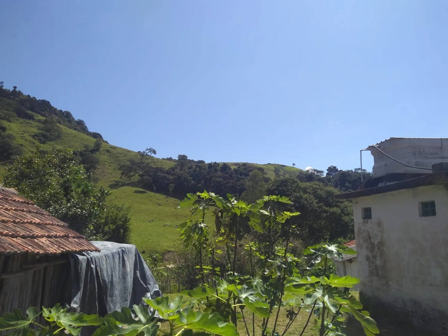 Imagem Chácara à venda 2 Quartos, 768000M², Zona Rural, Cunha - SP
