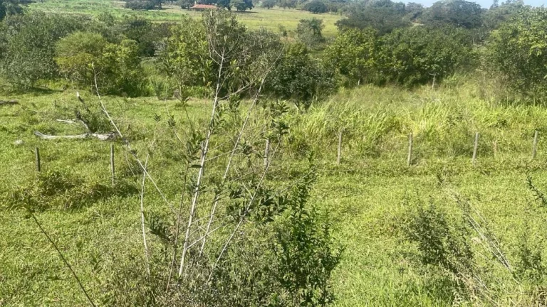 Imagem Chacara a Venda - Bairro Rio Verde