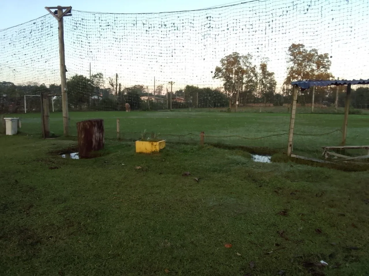 Imagem Sítio no Rincão