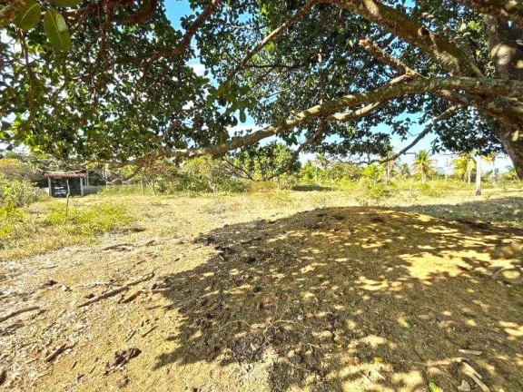 Imagem Área rural com 117.000m² a 10 minutos do centro de Guarapari, pronta para plantio, muita área liv...
