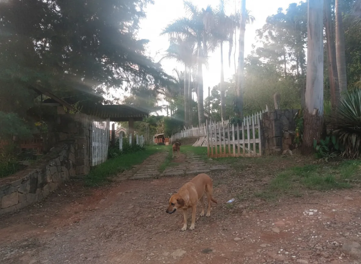 Imagem Sítio à venda em Centro, Botelhos