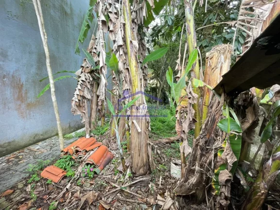Imagem Terreno na Estufa II