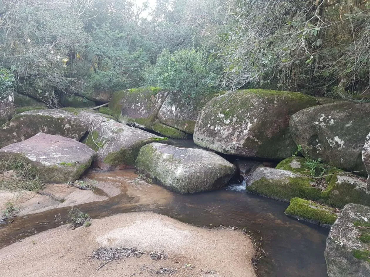 Imagem Sítio para Venda em Pedro Osório, Brasileiras