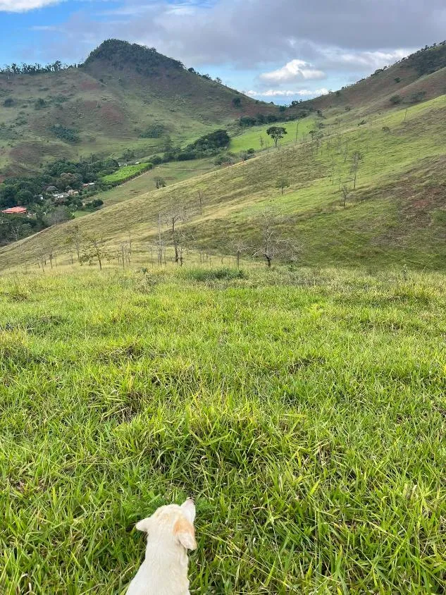 Imagem Terreno à Venda em São Domingos do Prata/MG com 25,5 hectares de terra