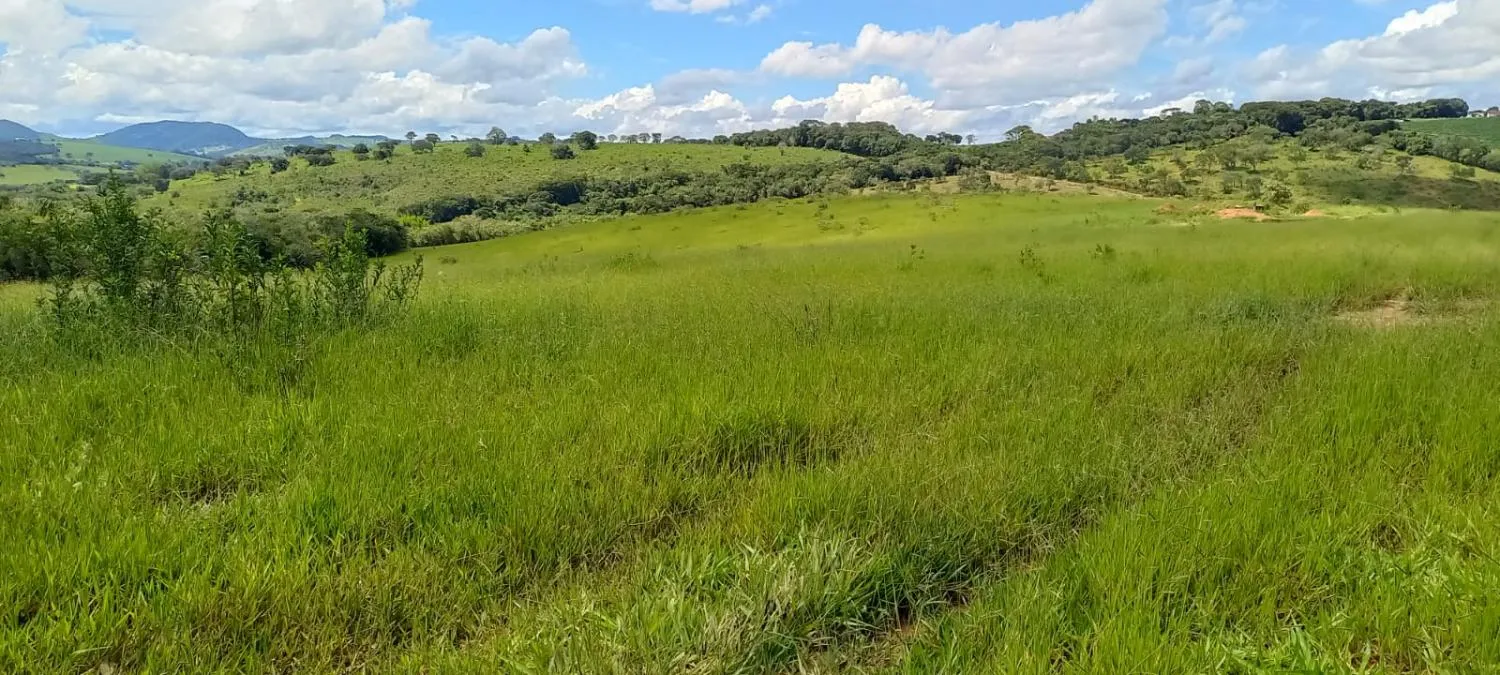 Imagem Vendo uma lindíssima fazenda na cidade de Oliveira/MG com 420 hectares de terra,