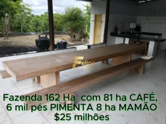 Imagem FAZENDA DE ALTO PADRÃO EM EUNÁPOLIS/BA 162 HECTARES DOCUMENTADOS 81 há de CAFÉ.