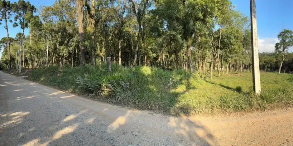Imagem Terreno à Venda, 1000 metros em Verava - Ibiúna