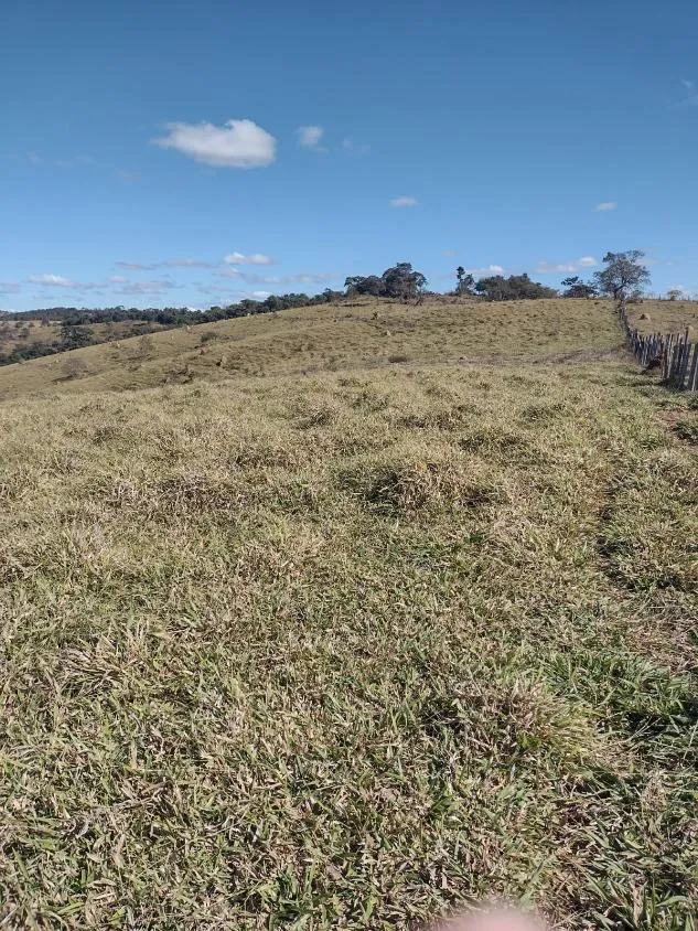 Imagem Vendo terreno em Crucilândia com 48 hectares de terra