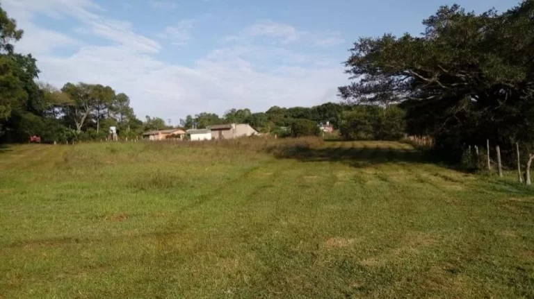 Imagem Sitio com 5.536m², mata nativa, Lagoa nos fundos, Águas Claras/ Viamão