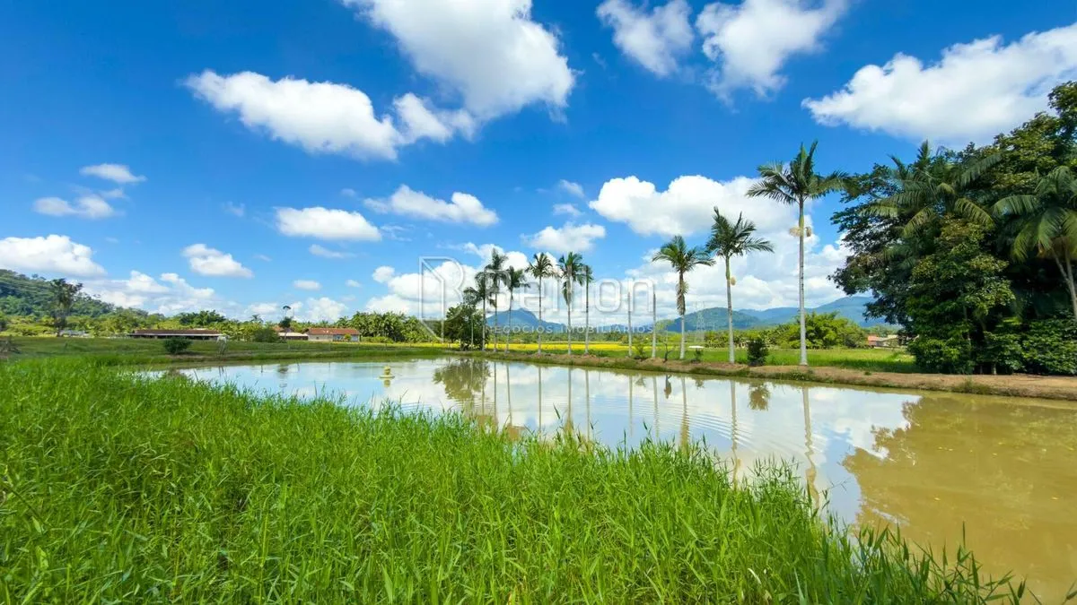 Imagem Sítio em Timbó - 20.000 m² de terreno plano