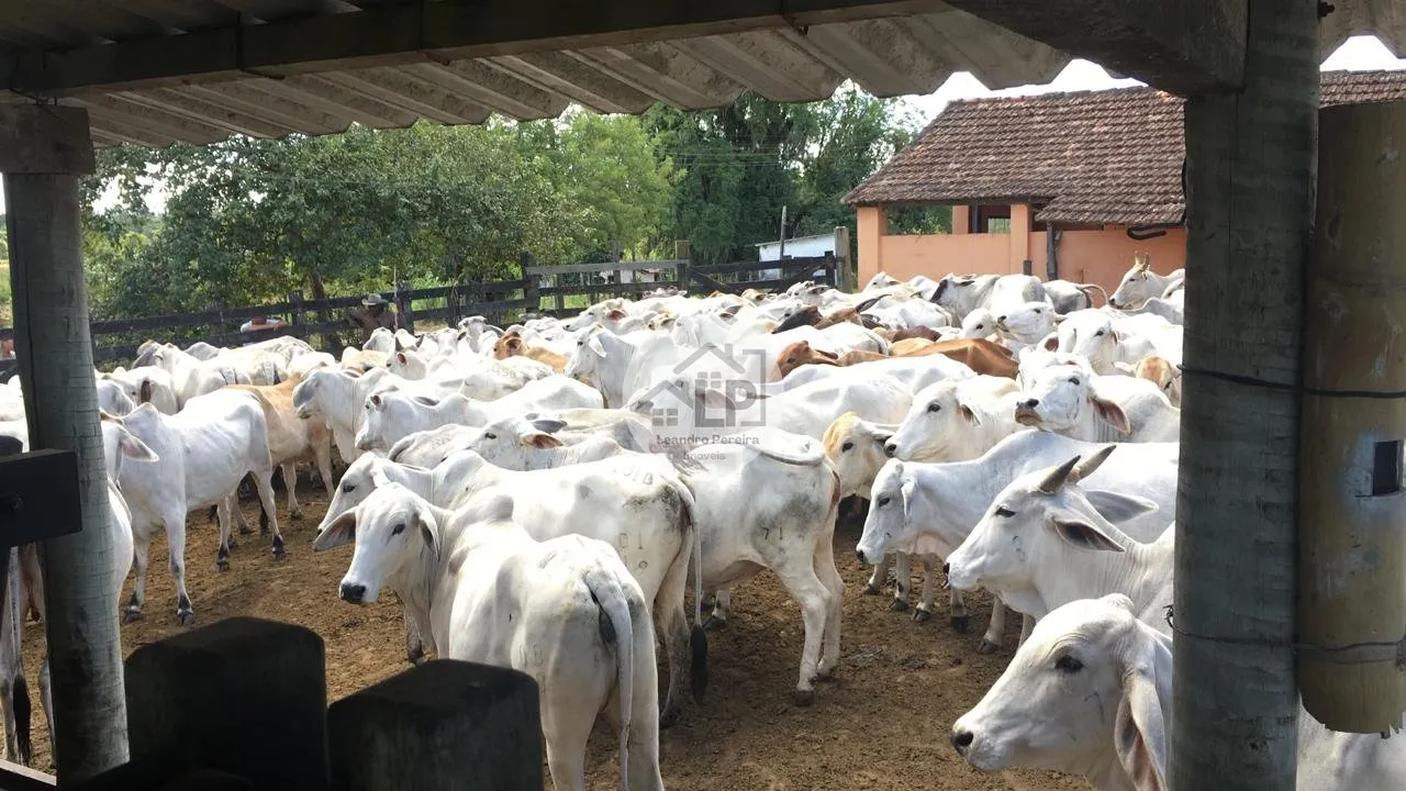 Fazenda/Sítios/Chácaras de 2300000m² no bairro Banqueiros, em Araruama