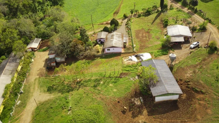 Imagem Granja para Venda em Concórdia, Rural