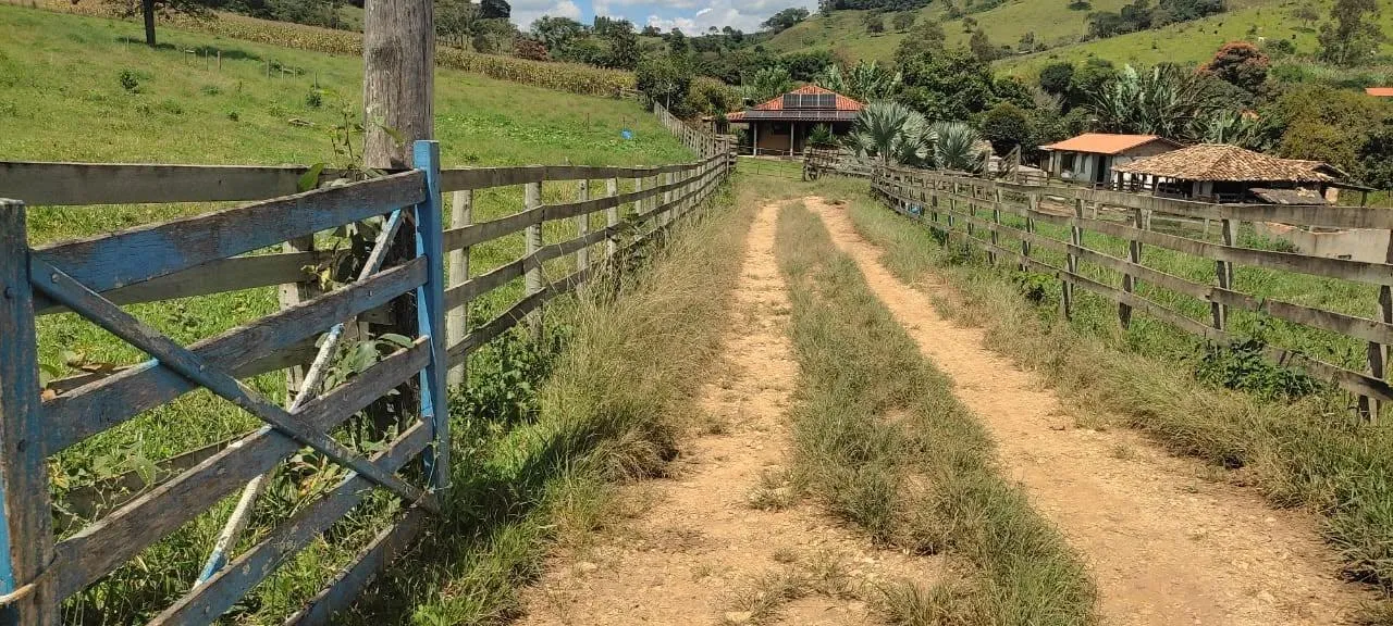 Imagem vendo um belo sítio em Piedade dos Gerais /MG com 12 hectares de terra ( 120.000 m² ),