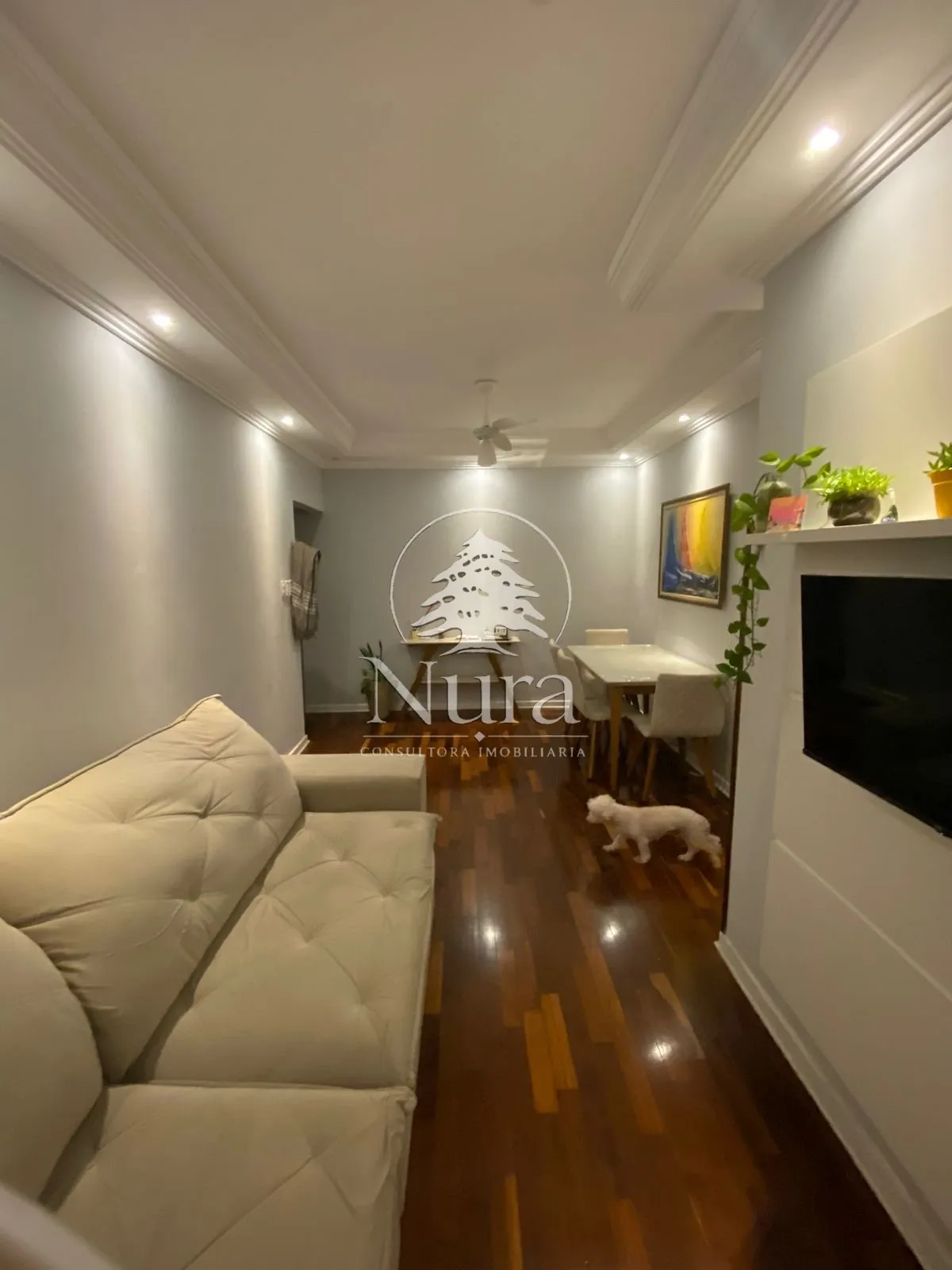 Imagem Apartamento de 2 quartos, 70m² no bairro Aparecida, em Santos