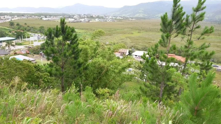 Imagem Terreno de 2640m² em Garopaba-SC: Escritura Pública e Alto Potencial de Valorização!