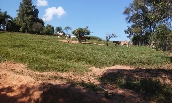 Foto do imóvel Linda Área para Loteamento em Piracaia 20 alqueires