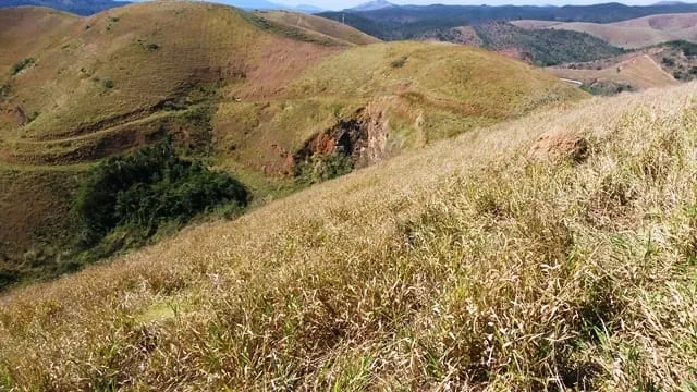 Imagem Chácara à venda Zona Rural, Lavrinhas - SP