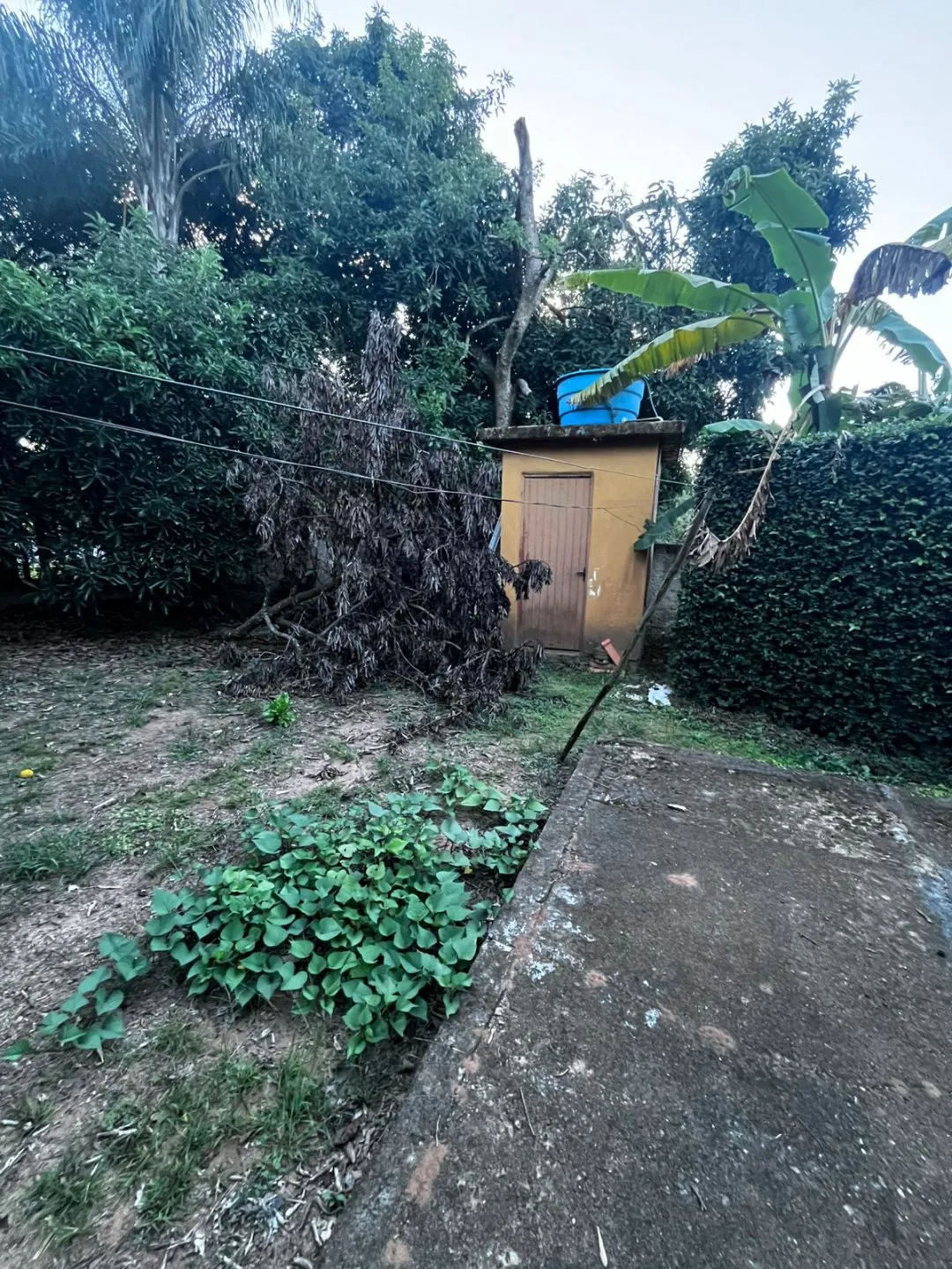 Imagem CASA À VENDA NO CONDOMÍNIO SOCIEDADE LAGOA - ÁGUAS CLARAS | VIAMÃO