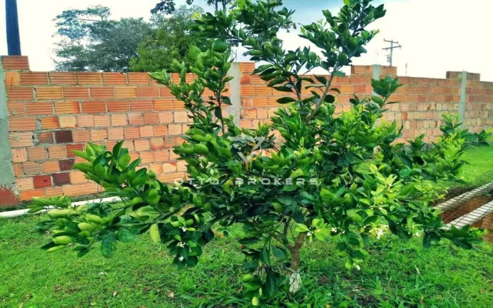 Imagem AREA RESIDENCIAL em PORTO SEGURO - BA, Imbiruçu de dentro