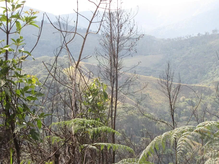 Imagem Terreno para Venda em Teresópolis / RJ no bairro Fazenda Suiça
