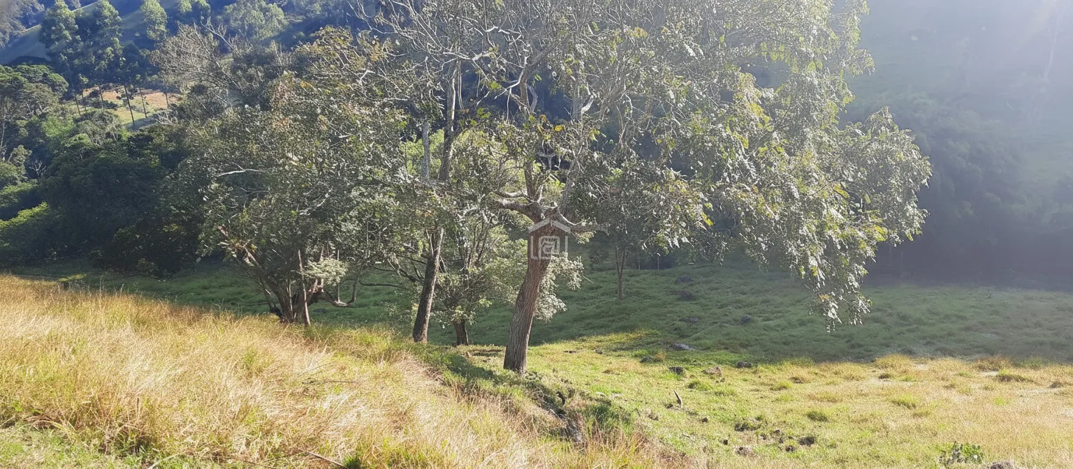 Imagem Sítio à venda em Córrego das Foices, Bandeira do Sul