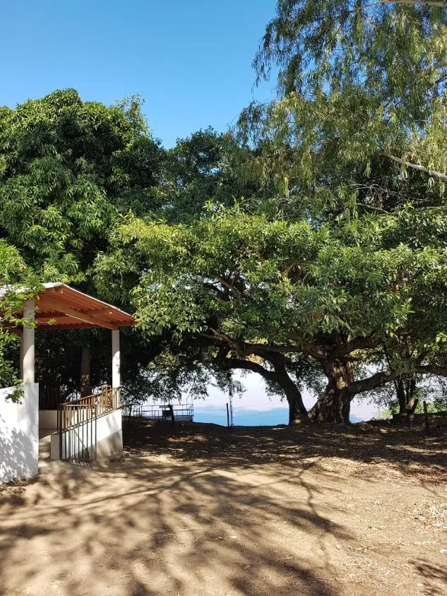 Imagem FAZENDA À VENDA - VÁRZEA DA PALMA (MG) 313 hectares de área total