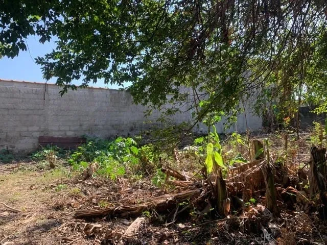 Imagem Terreno à venda Alto do Cardoso, Pindamonhangaba - SP