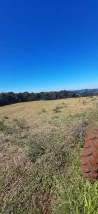 Imagem Área Agrícola para Venda em Ipumirim, Interior