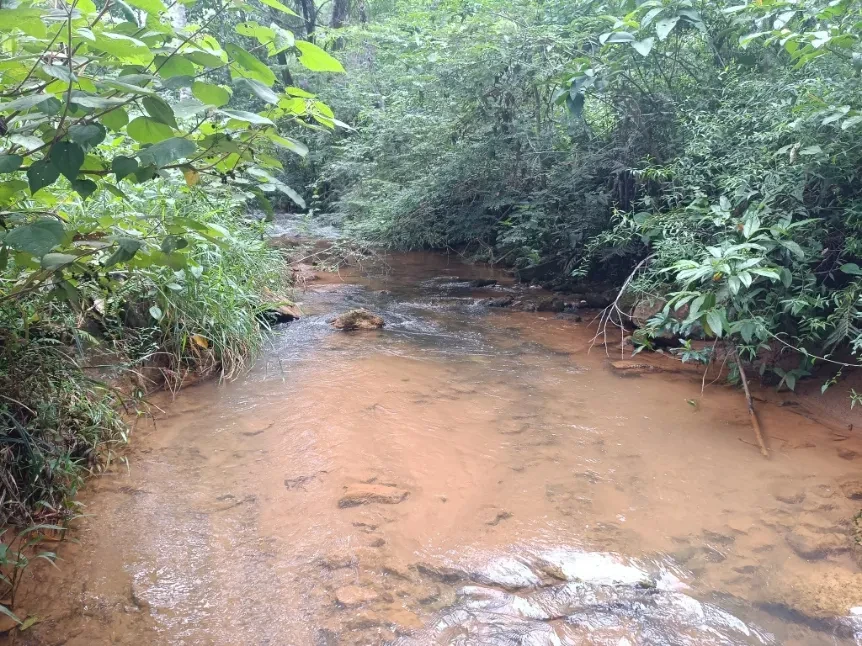 Imagem Chácara à Venda, 20000 metros em Santa Leopoldina - Santa Leopoldina