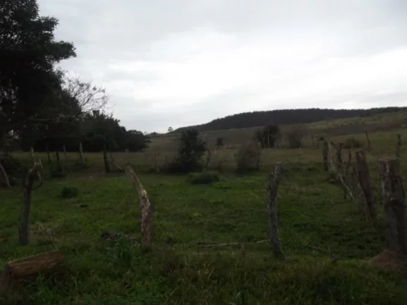 Imagem Sitio Rural com 10.8 hectares, Aguadas, Costa do Oveiro, Viamão/RS