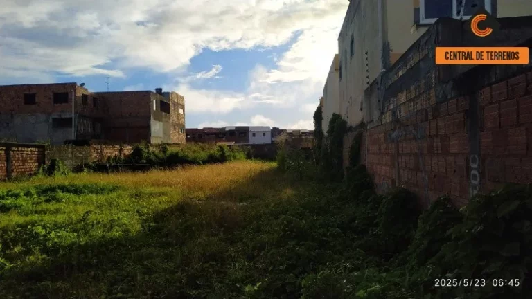 Imagem TERRENO EM ABRANTES