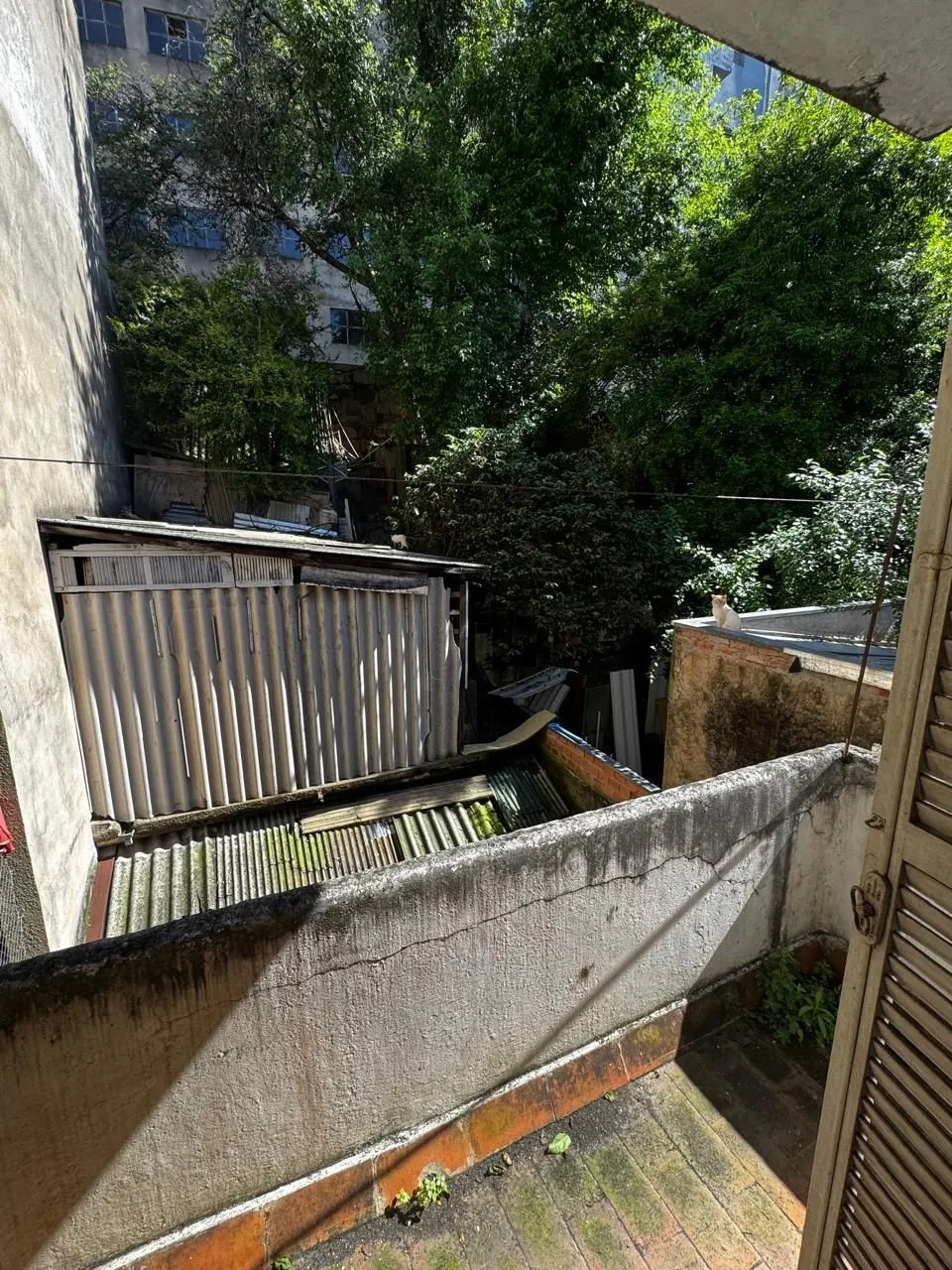 Imagem Apartamento de 3 Dormitórios super amplo