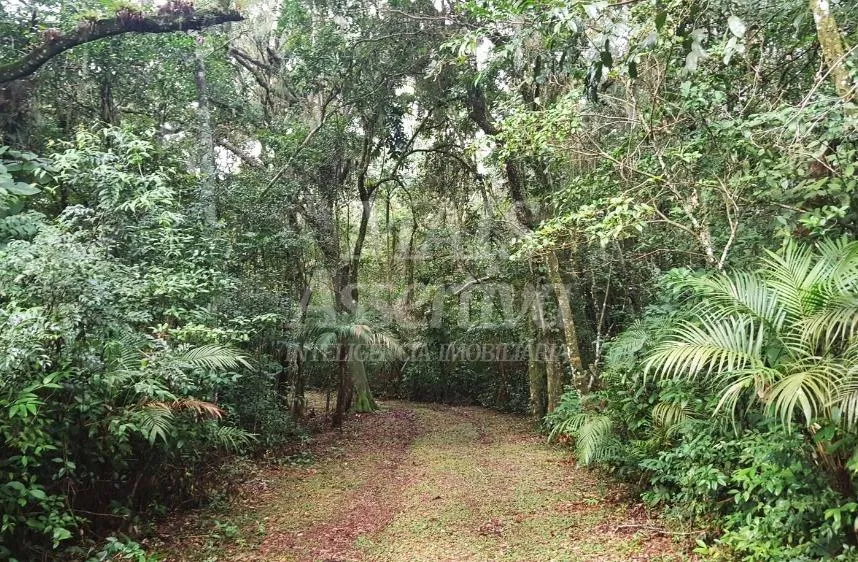 Imagem Excelente propriedade as margens da Lagoa das Malvas em Maquiné/RS - AIRBNB