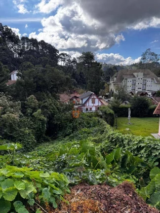 Imagem Terreno à venda, 850 m² por R$ 800.000 - Alto Do Capivari - Campos do Jordão/SP