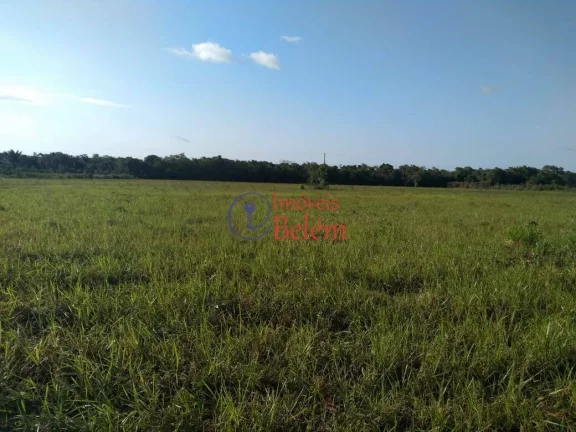 Imagem Imóveis Belém vende casa no município de Vigia de Nazaré.