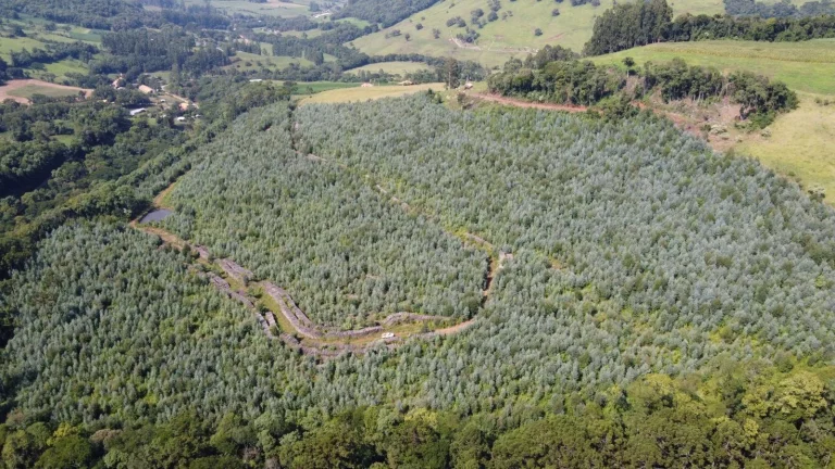 Imagem Terreno para Venda em Jaborá, Interior