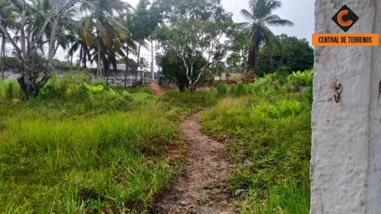 Imagem TERRENO NA CASCALHEIRA