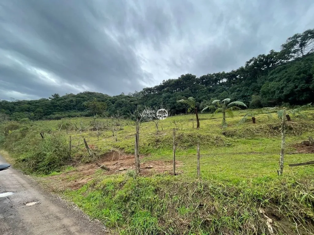 Imagem Terreno à venda, 20000 m2 por R$ 890.000 - Esplanada - Caxias do Sul/RS