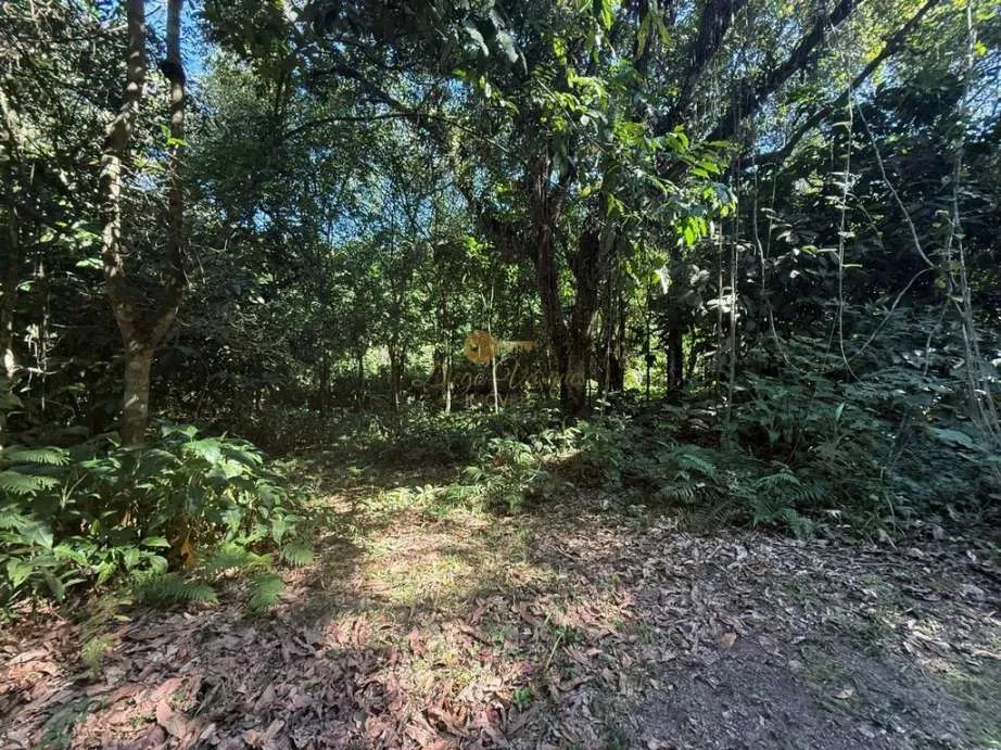 Imagem Sítio para Venda em Guapimirim / RJ no bairro Parque Nossa Senhora da Ajuda