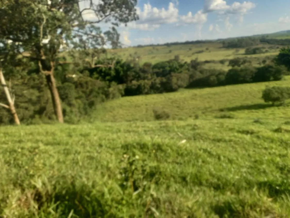 Imagem Excelente Terreno à Venda em Oliveira/MG: 34 Hectares com Boa Disponibilidade de Água
