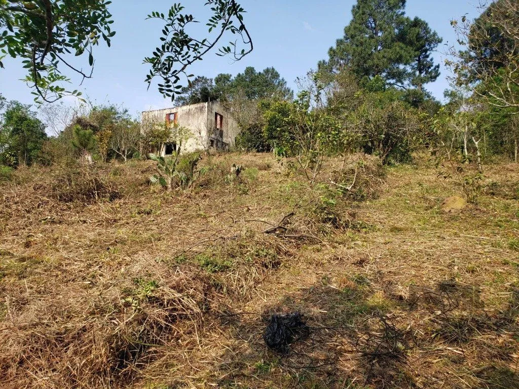 Imagem Terreno em Vila Nova