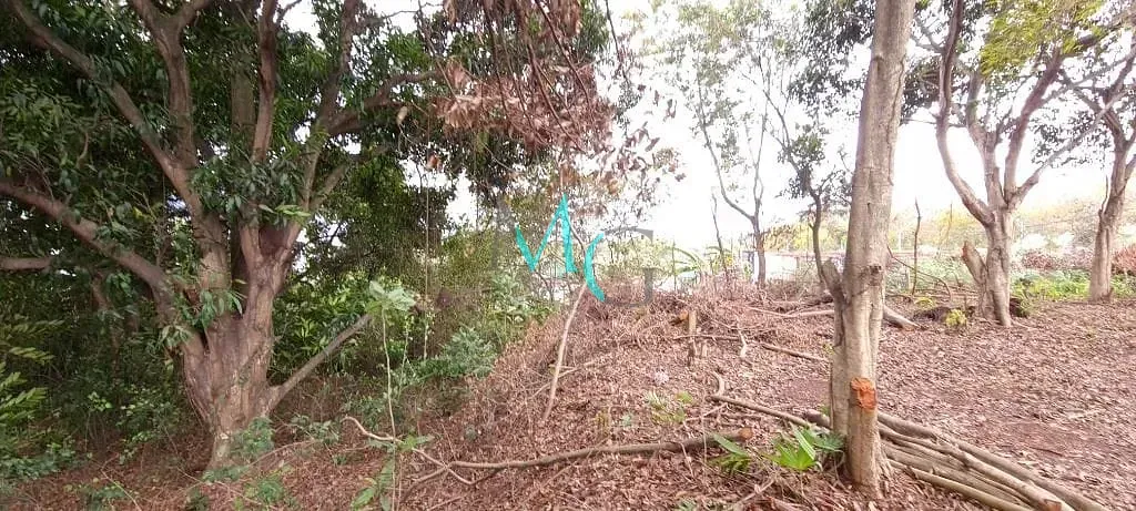 Imagem Área para alugar, 2400 m² por R$ 11.830,00/mês - Campo Grande - Rio de Janeiro/RJ