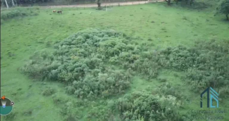 Imagem Chácara oportunidade de Ouro, bem localizada na estrada Cabeça D'anta, Bocaiúva do Sul com 09(nove) alqueires,