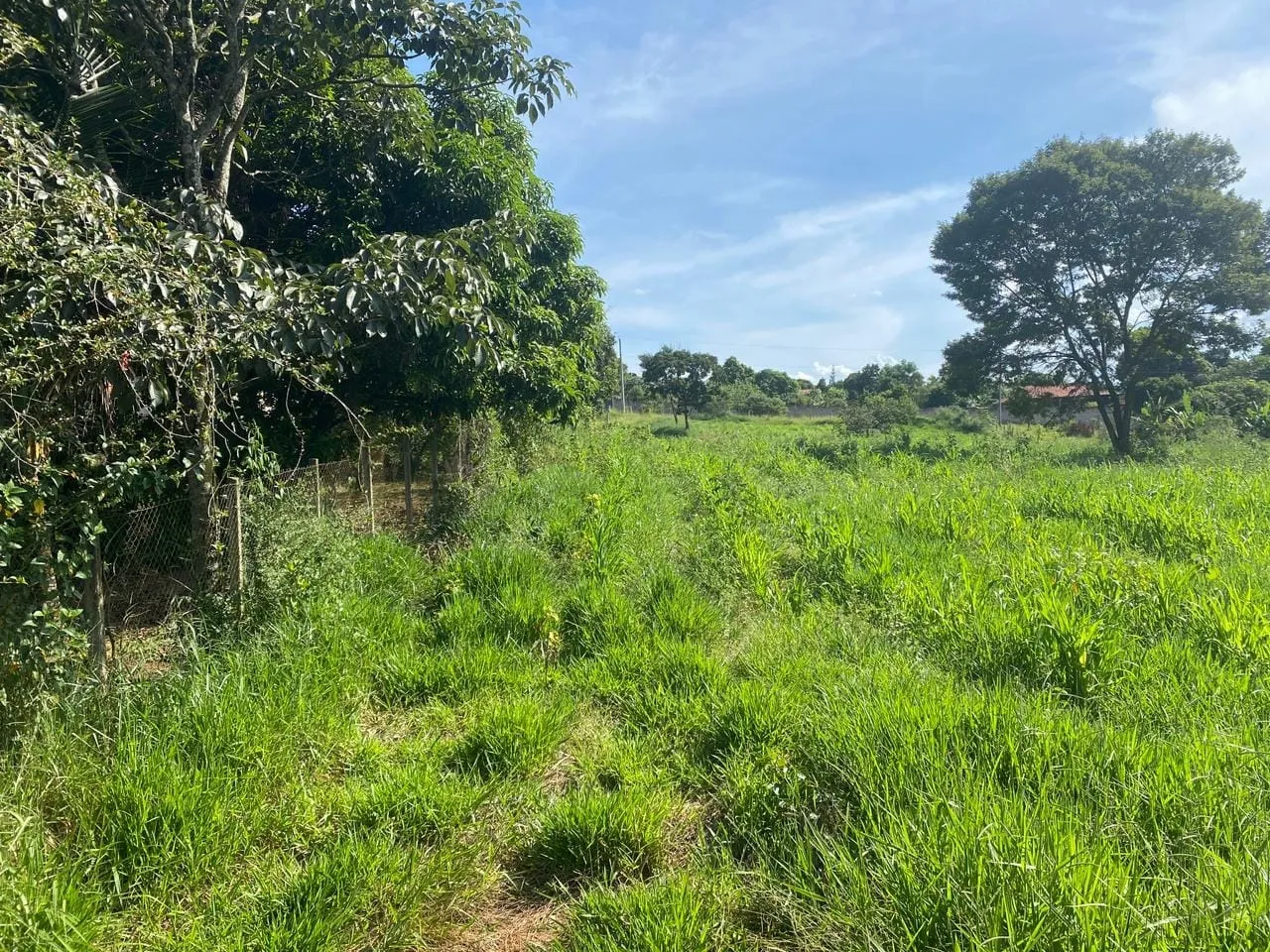 Imagem Chácara à venda 4000M², Goiabal, Pindamonhangaba - SP