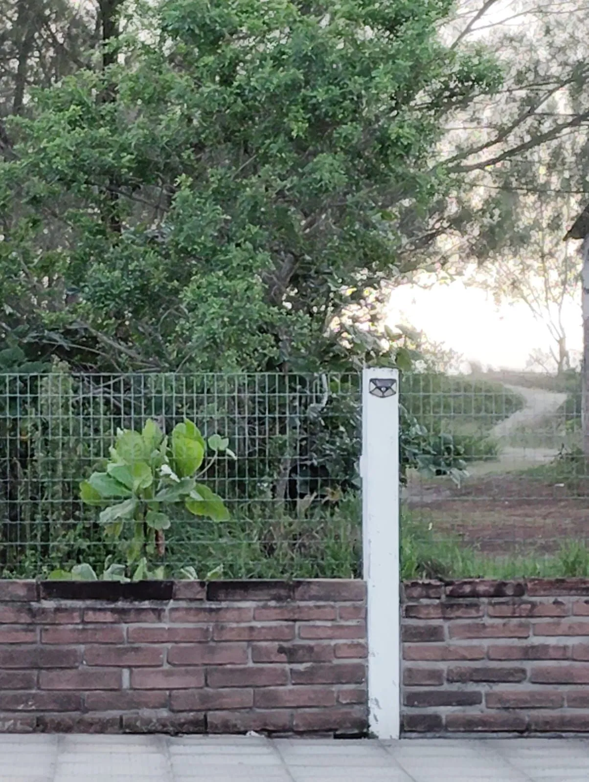 Imagem Casa em Posto 4 (Capão Novo)