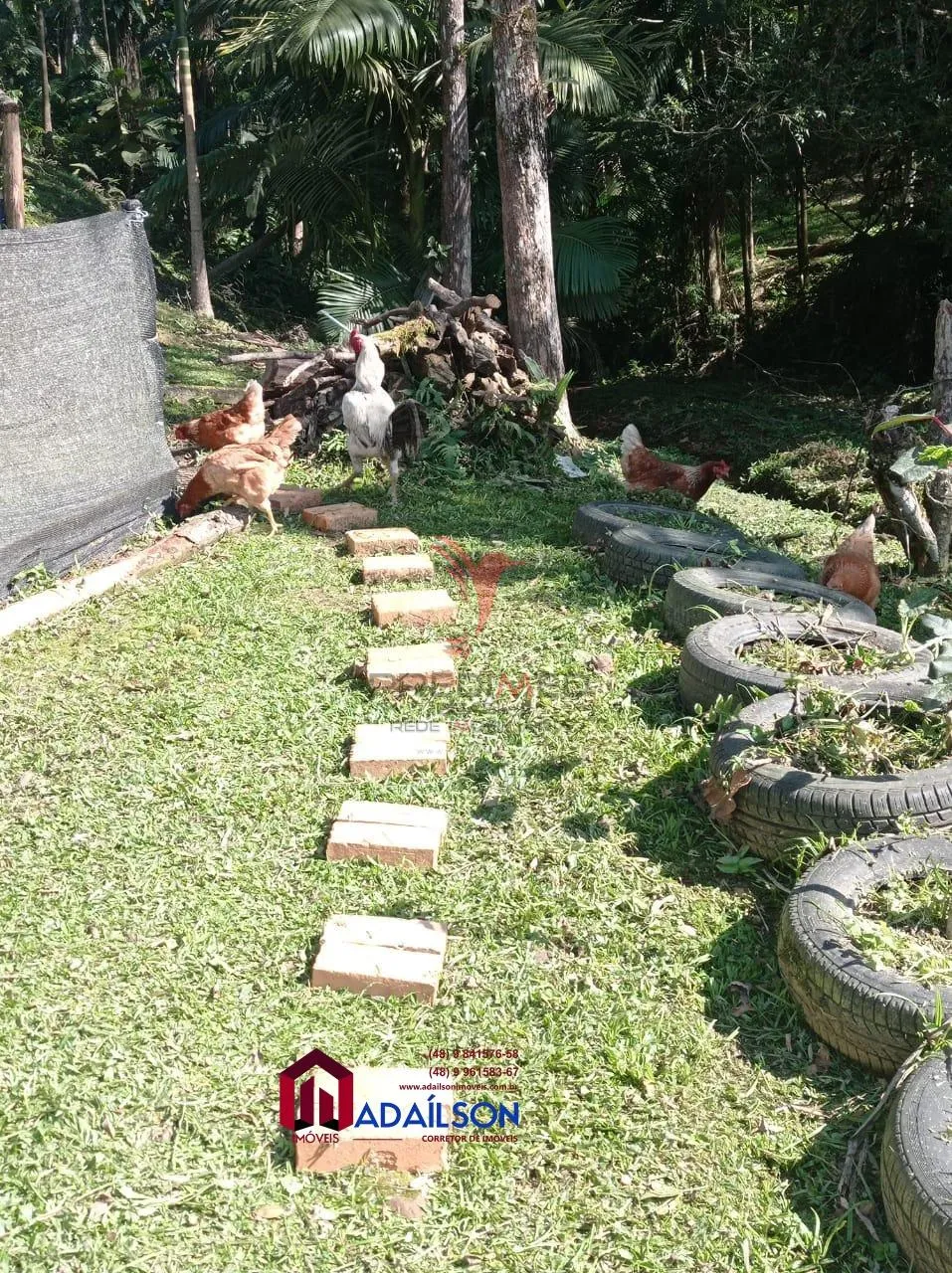 Imagem CHÁCARA A VENDA UM ÓTIMO INVESTIMENTO PARA INVESTIDORES LAJEADO ALTO, GUABIRUBA SC