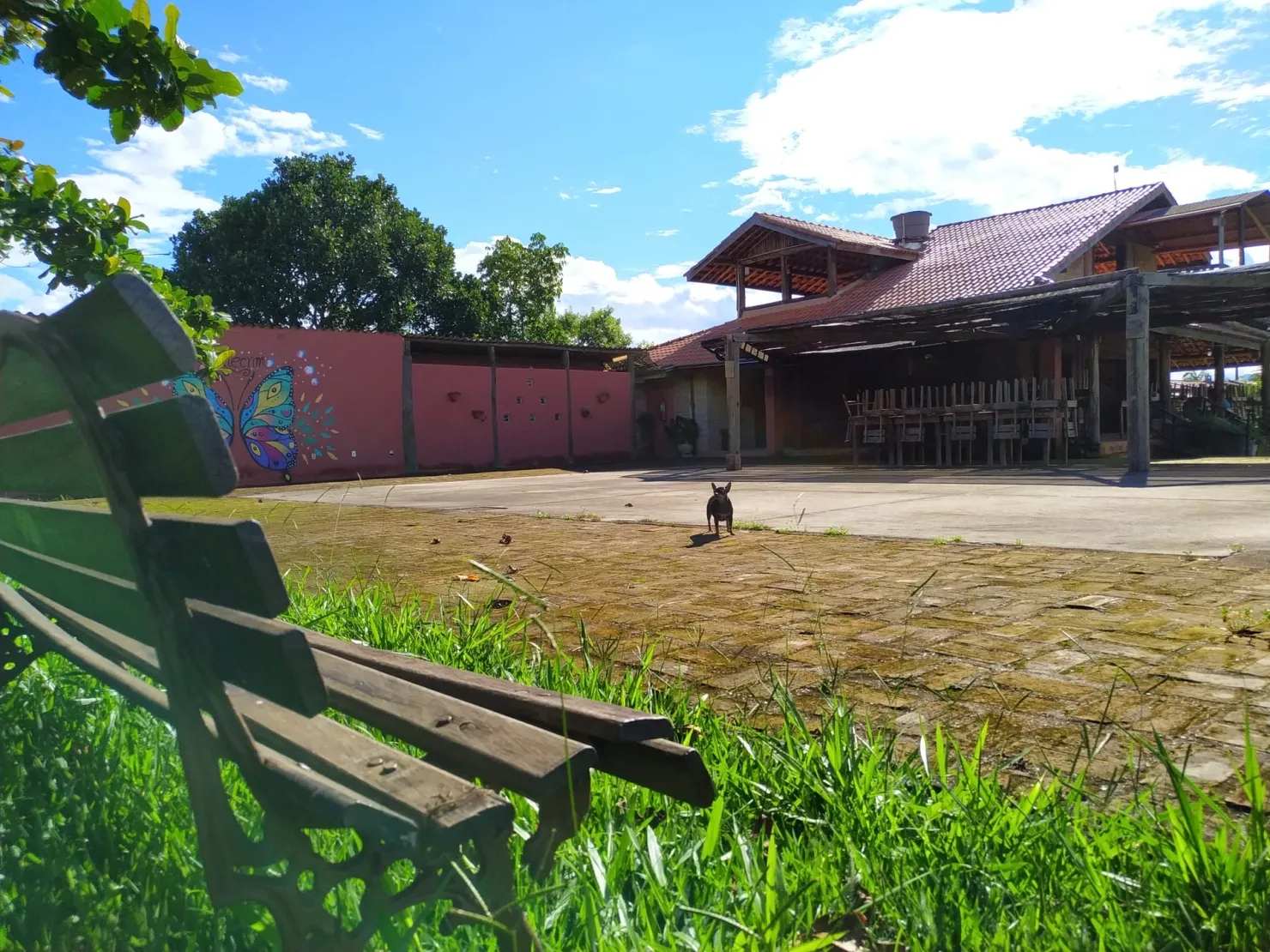 Imagem Chácara à venda 15000M², Mandú, Pindamonhangaba - SP
