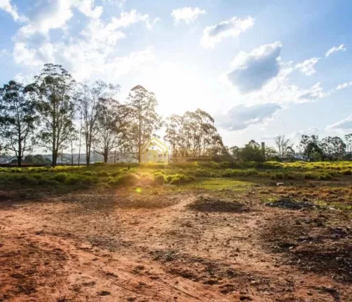 Imagem Terreno Padrão
