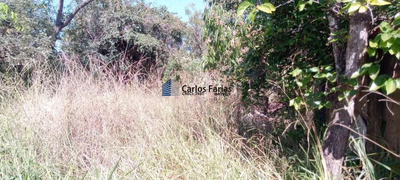 Imagem Lote em Condomínio Fechado para Venda em Brasília, Setor Habitacional Tororó (Jardim Botânico)