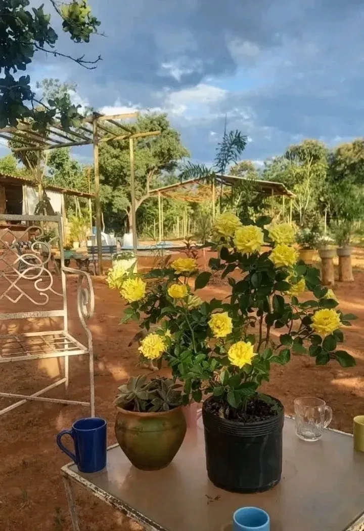 Chácara com 2 Quartos à Venda, 80 m² em Chácaras Marajoara - Luziânia